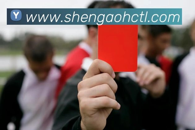 對戰數據統計